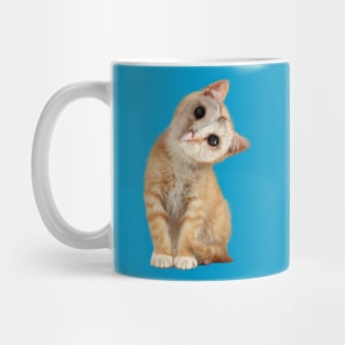 Cat Owl design Mug